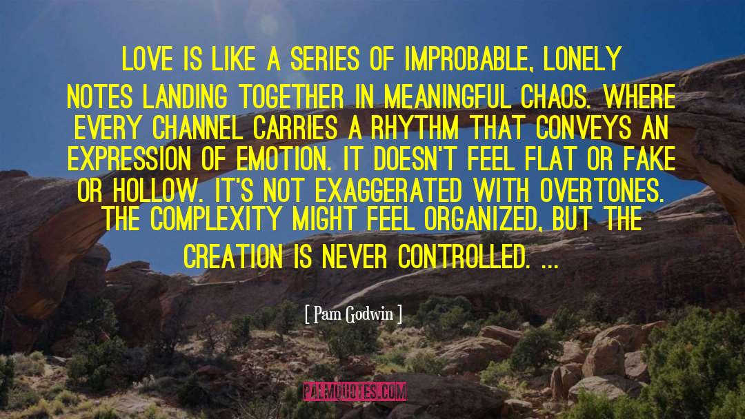 Iilusory Love Series quotes by Pam Godwin