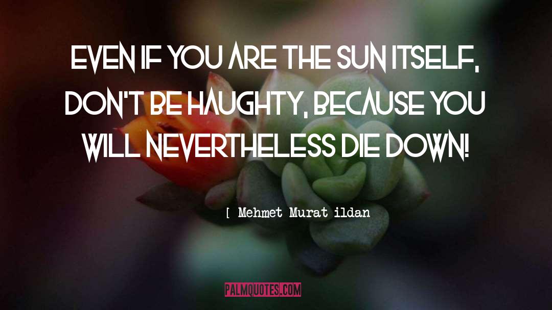 Ildan quotes by Mehmet Murat Ildan