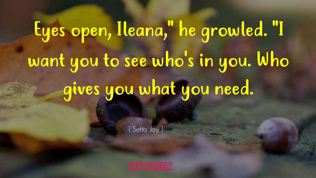 Ileana quotes by Setta Jay