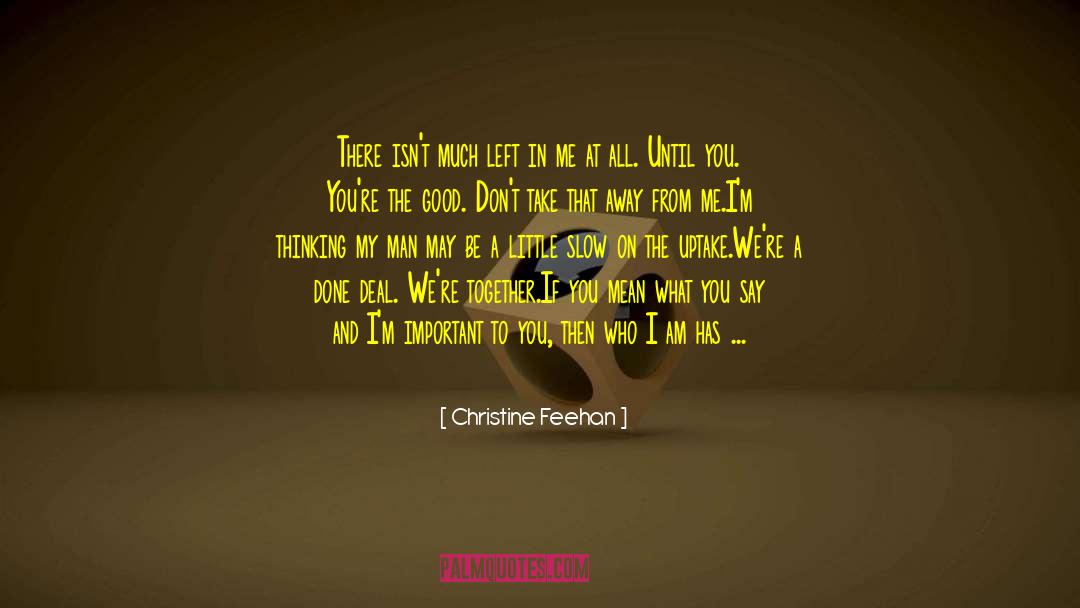 Ill Take You On quotes by Christine Feehan