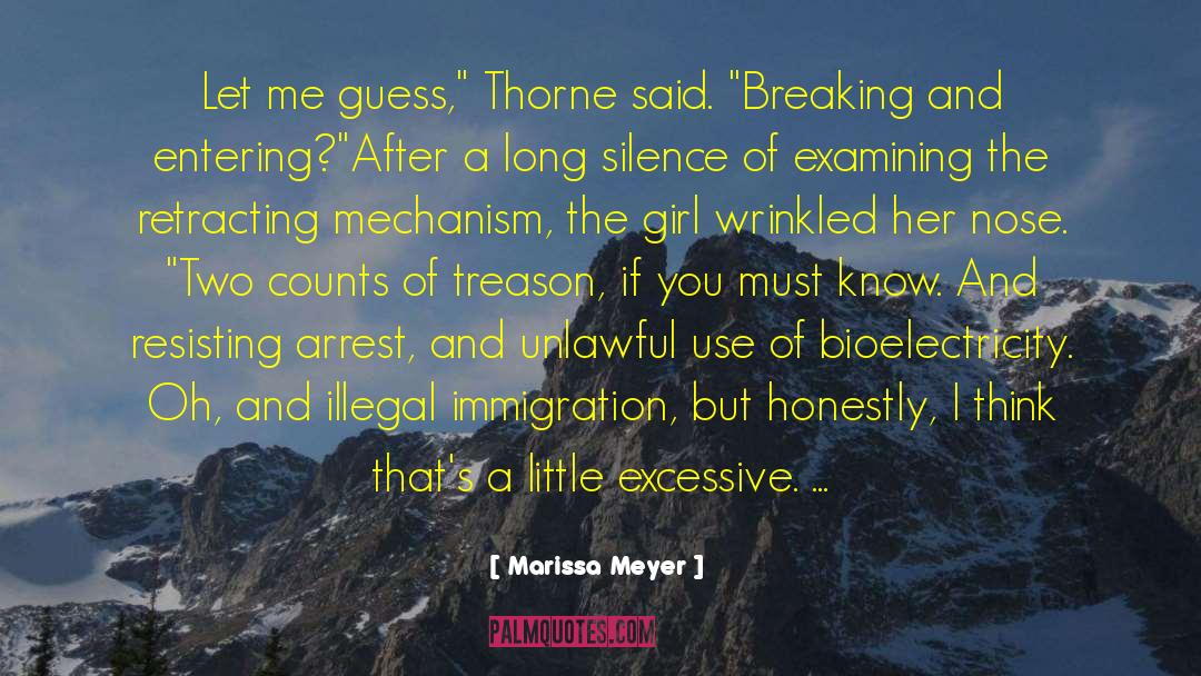 Illegal Immigration quotes by Marissa Meyer