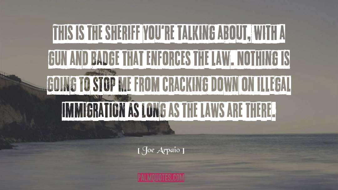 Illegal Immigration quotes by Joe Arpaio