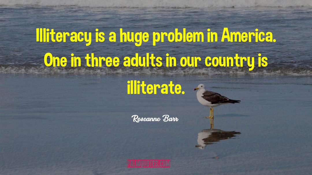 Illiteracy quotes by Roseanne Barr