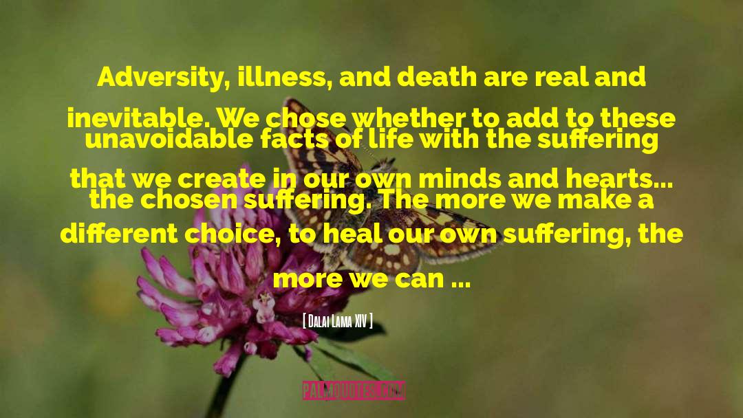 Illness And Death quotes by Dalai Lama XIV