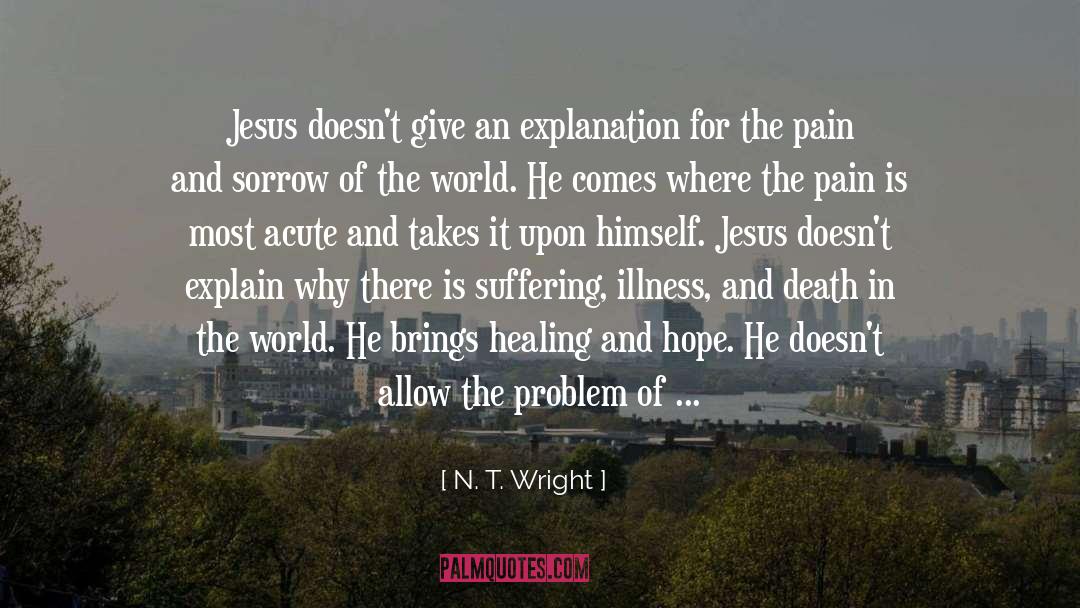 Illness And Death quotes by N. T. Wright