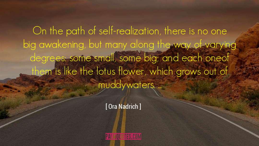 Illuminated Path quotes by Ora Nadrich