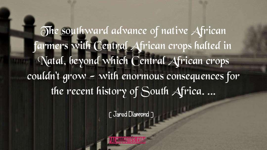 Illuminati In South Africa quotes by Jared Diamond