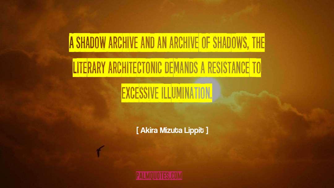 Illumination quotes by Akira Mizuta Lippit