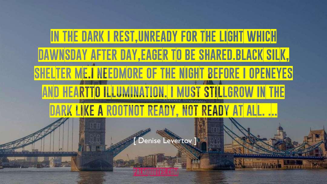 Illumination quotes by Denise Levertov