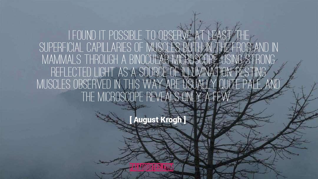 Illumination quotes by August Krogh