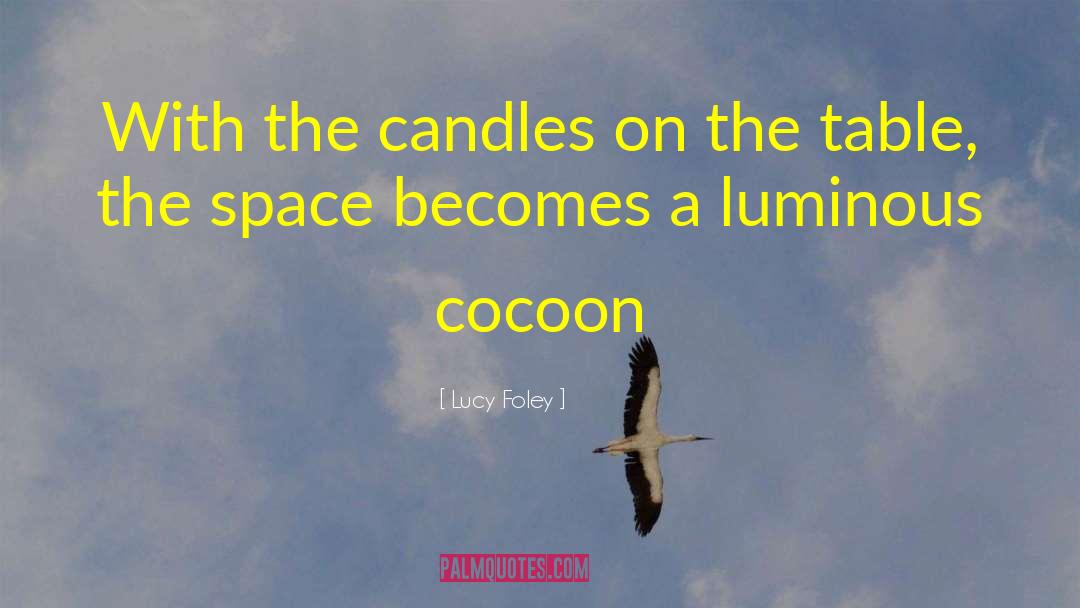 Illuminations Candles quotes by Lucy Foley