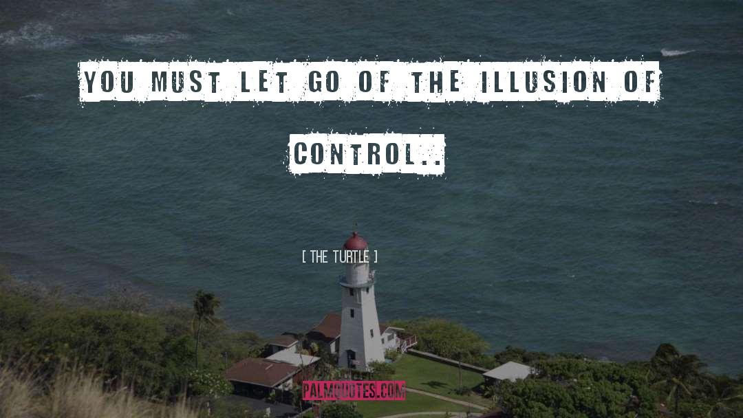 Illusion Of Control quotes by The Turtle