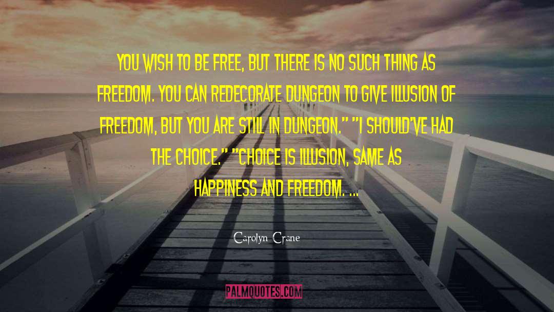 Illusion Of Freedom quotes by Carolyn Crane