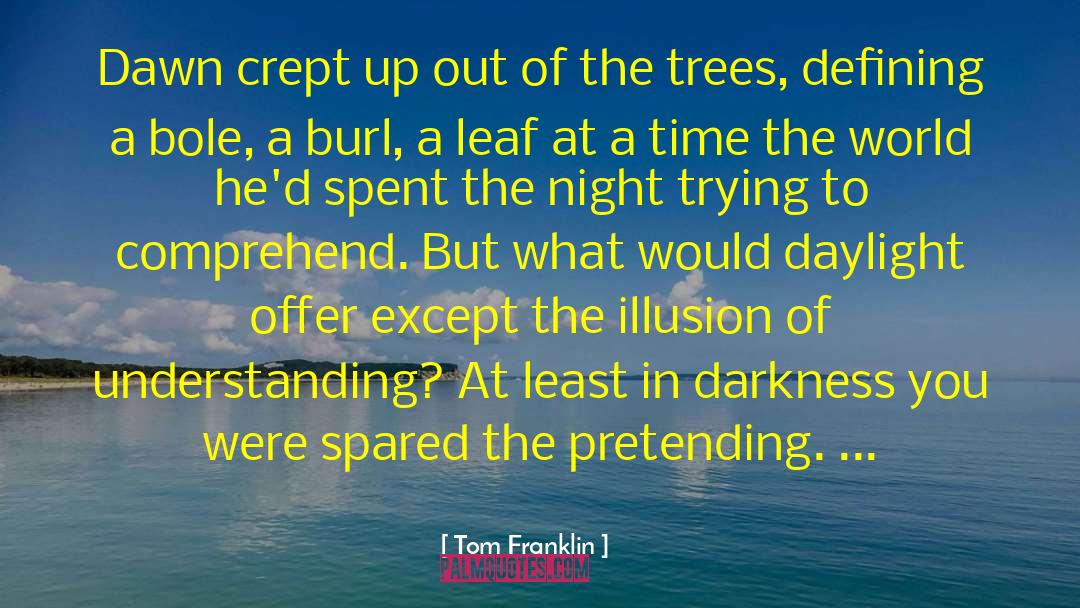 Illusion Of Grandeur quotes by Tom Franklin