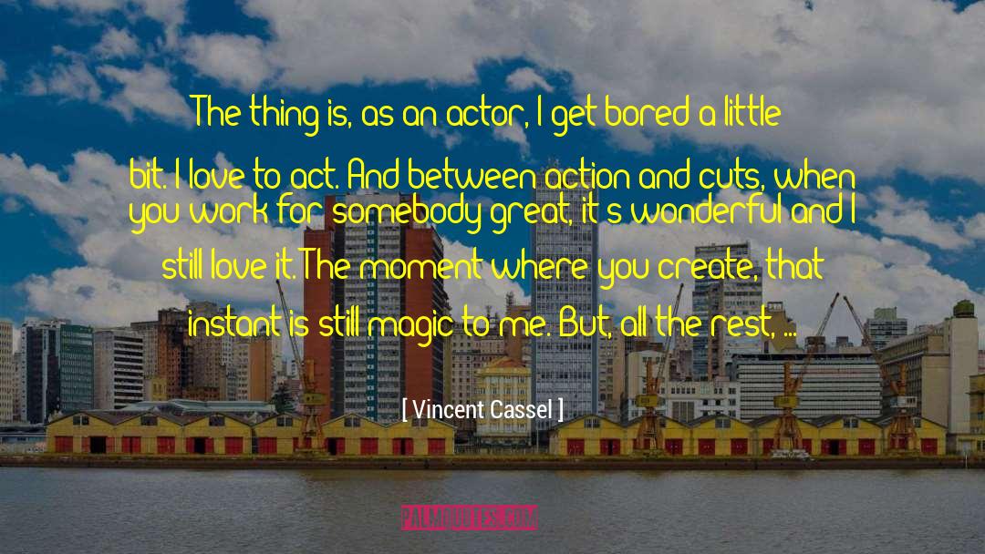 Illusionary Life quotes by Vincent Cassel