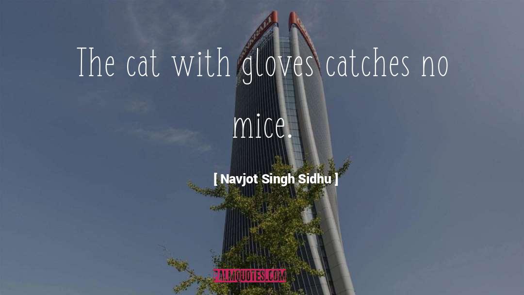 Illusive Gloves quotes by Navjot Singh Sidhu