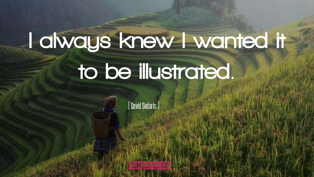 Illustrated quotes by David Sedaris