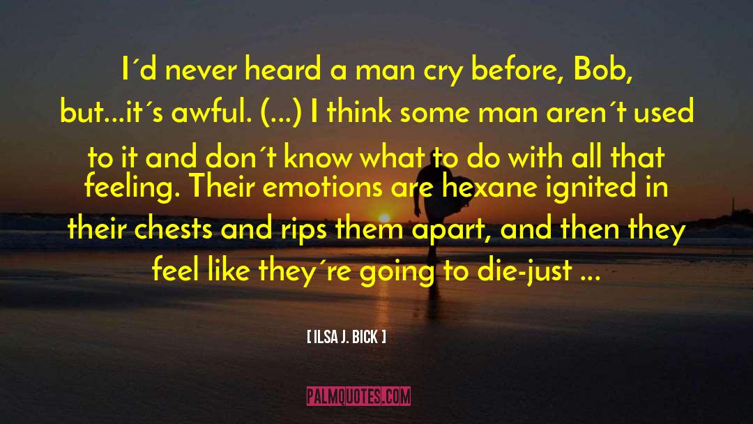 Ilsa J Bick quotes by Ilsa J. Bick
