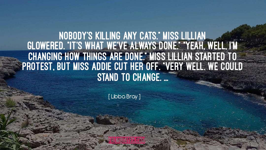 Im Changing quotes by Libba Bray