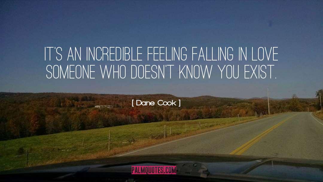 Im Falling In Love With You quotes by Dane Cook