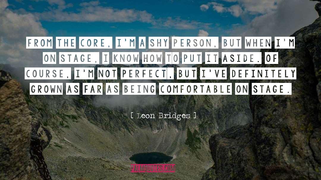 Im Not Perfect quotes by Leon Bridges