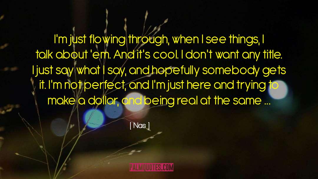 Im Not Perfect quotes by Nas