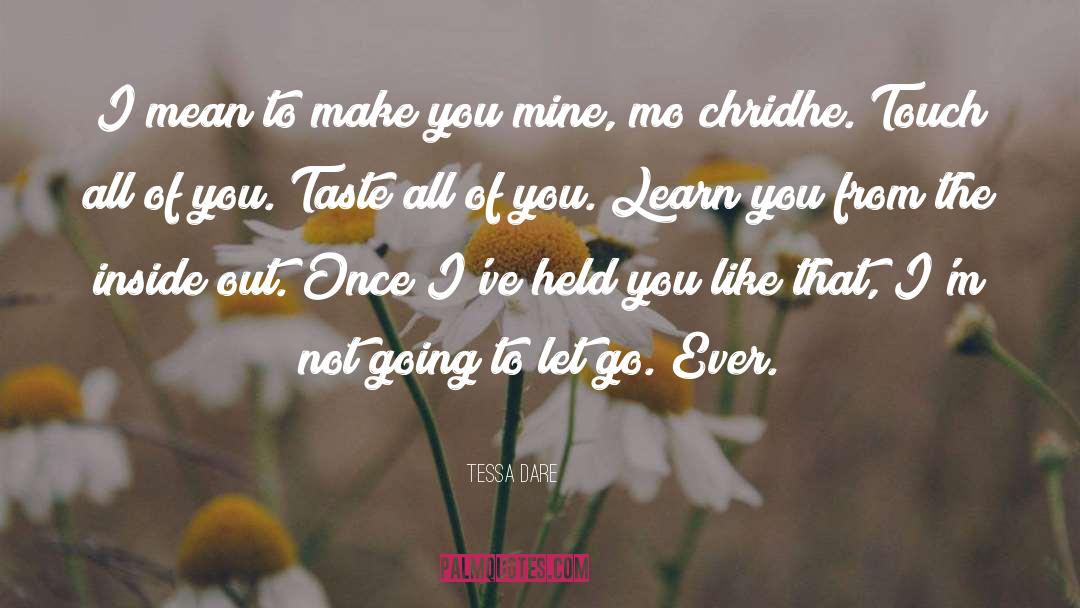 Im Not You Im Me quotes by Tessa Dare