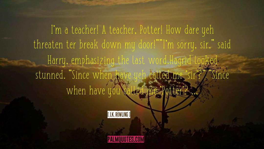 Im Sorry Im Hurt quotes by J.K. Rowling