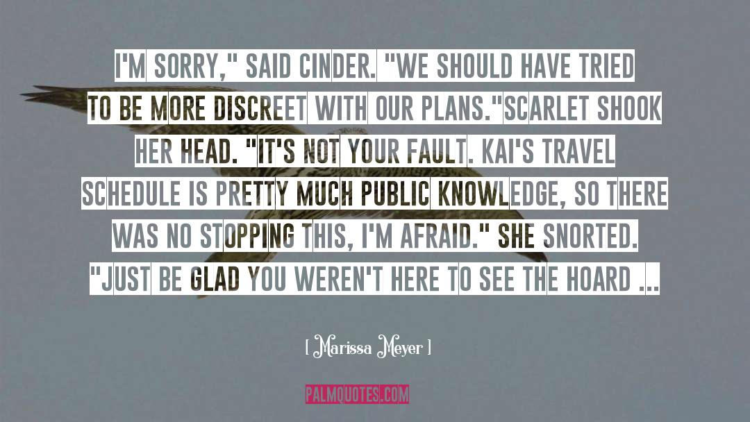 Im Sorry quotes by Marissa Meyer