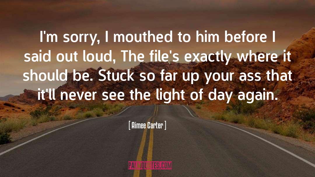 Im Sorry quotes by Aimee Carter