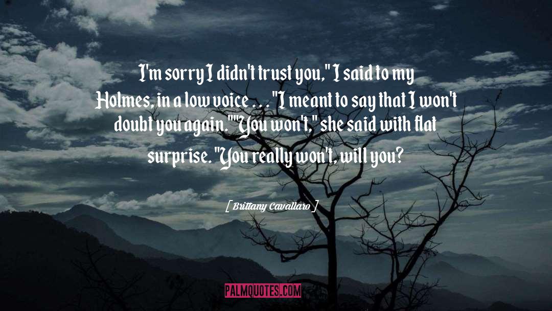 Im Sorry quotes by Brittany Cavallaro