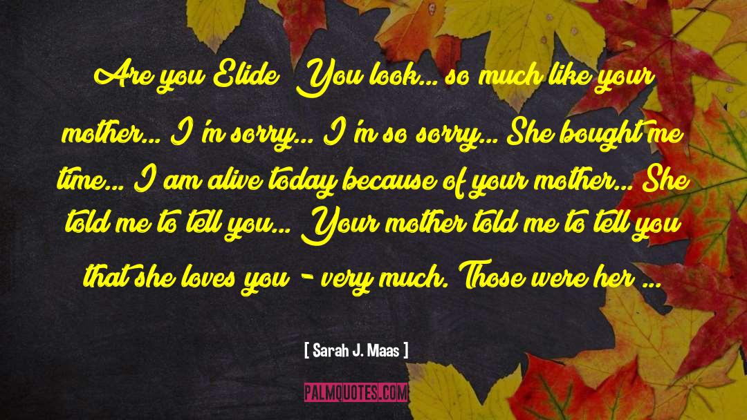 Im Sorry To My Wife quotes by Sarah J. Maas