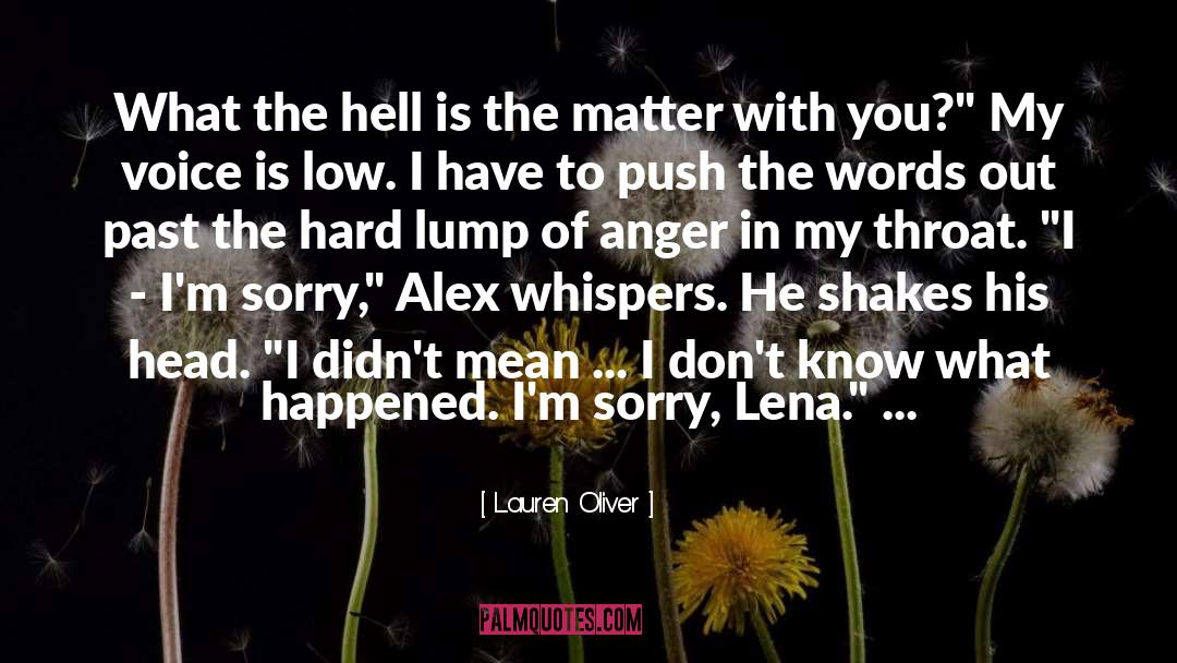 Im Sorry To My Wife quotes by Lauren Oliver