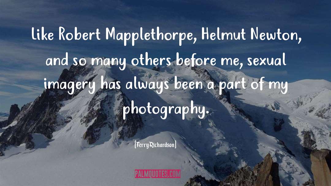 Imagery In 1984 quotes by Terry Richardson