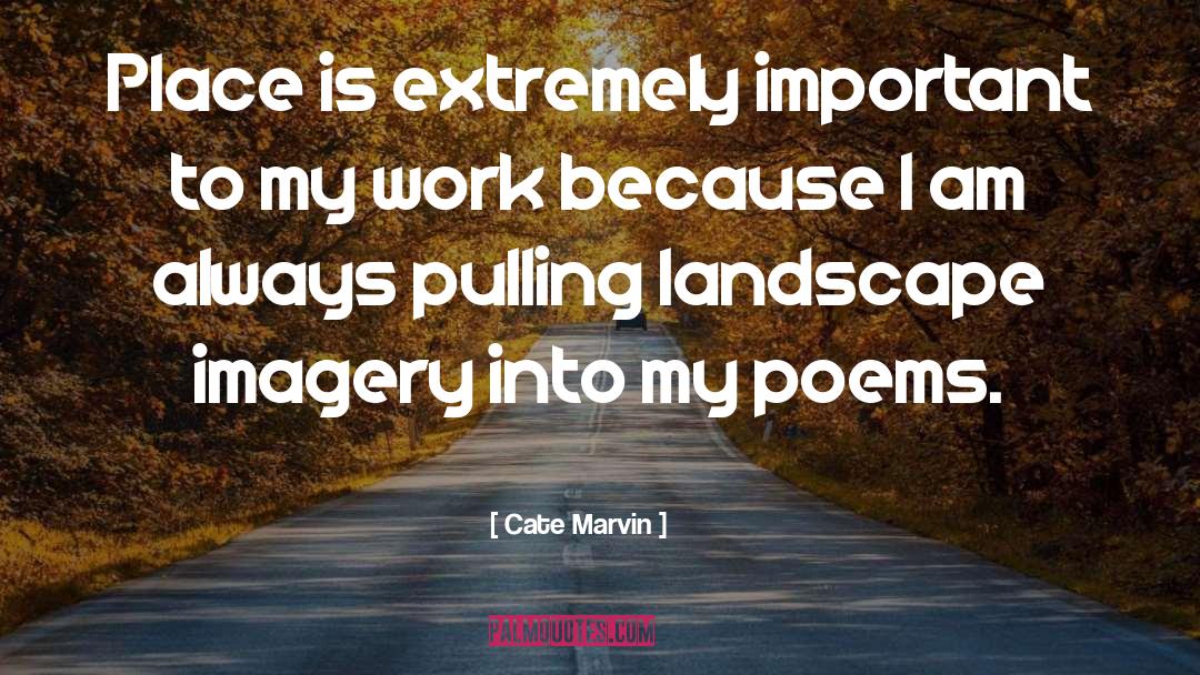 Imagery In 1984 quotes by Cate Marvin