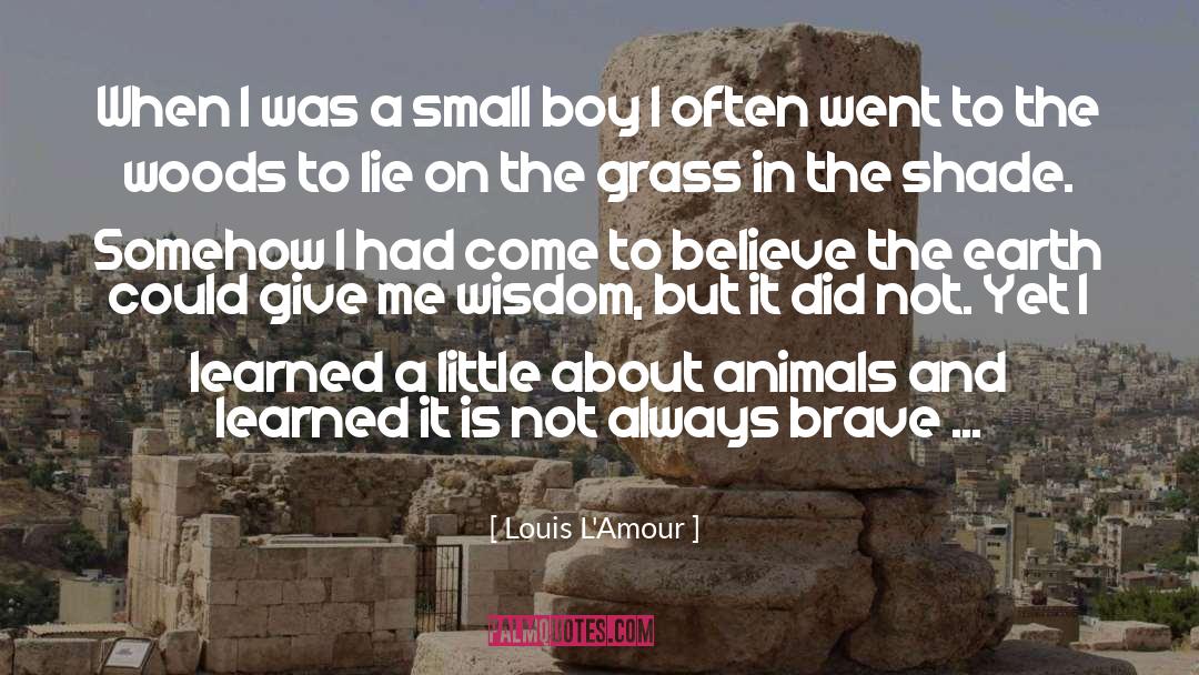 Imaginary Boys quotes by Louis L'Amour