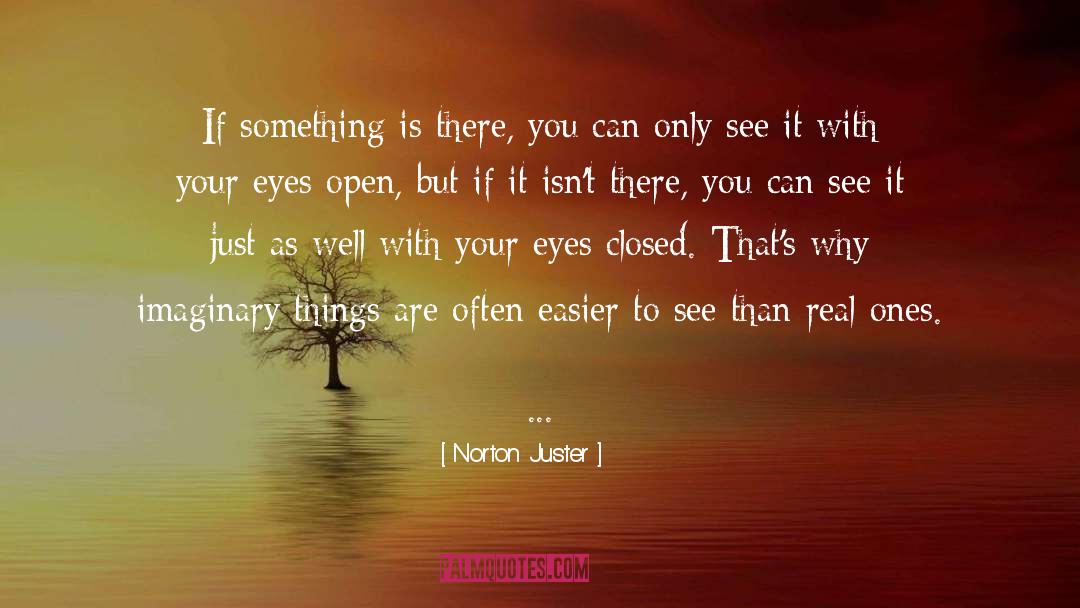 Imaginary Things quotes by Norton Juster