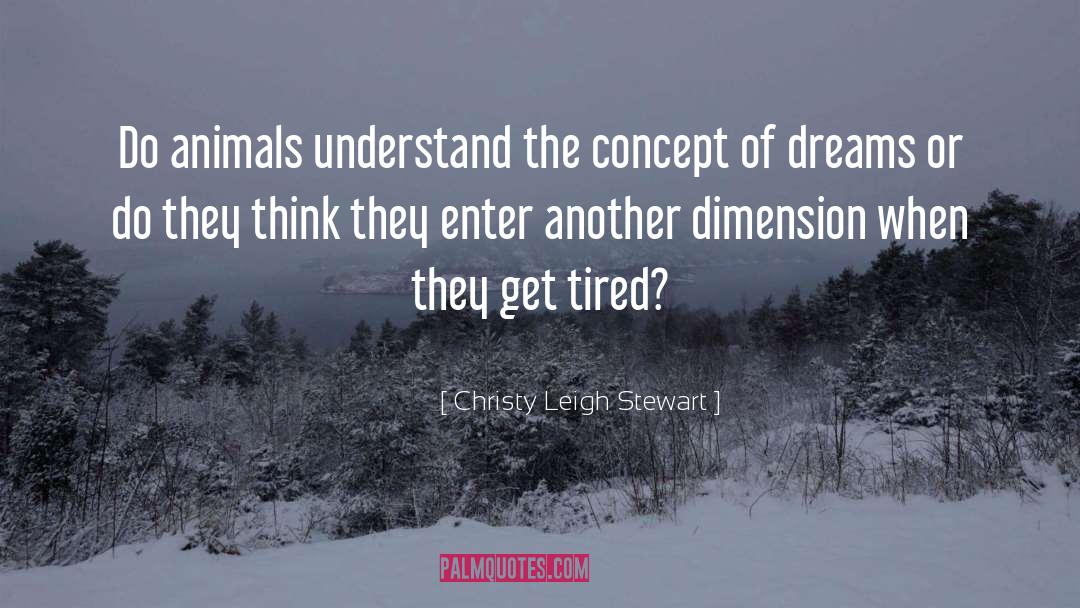 Imagination And Dreams quotes by Christy Leigh Stewart