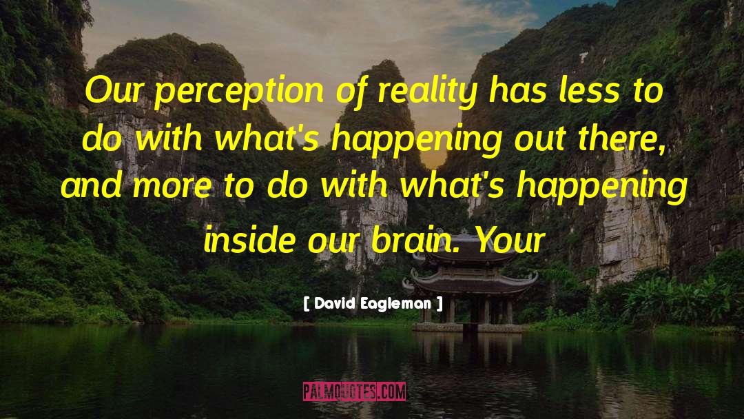 Imagination And Reality quotes by David Eagleman