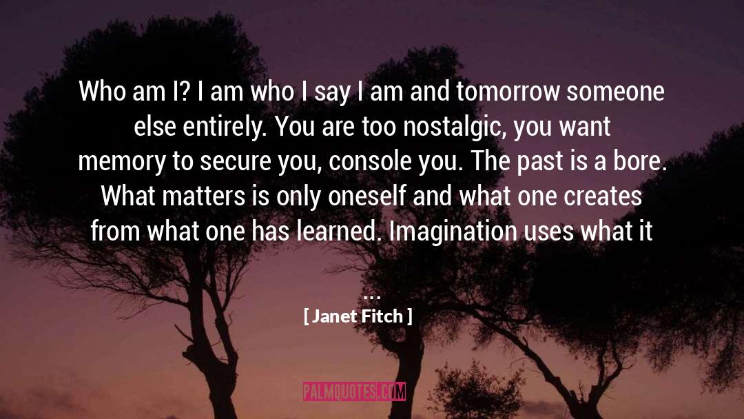 Imagination Creativity quotes by Janet Fitch
