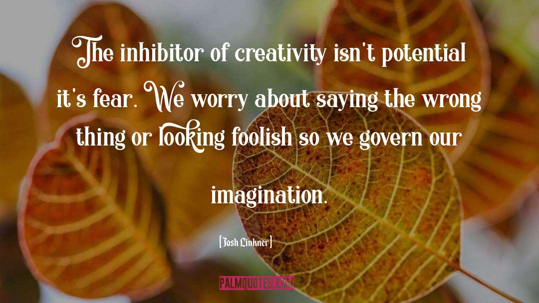 Imagination Creativity quotes by Josh Linkner