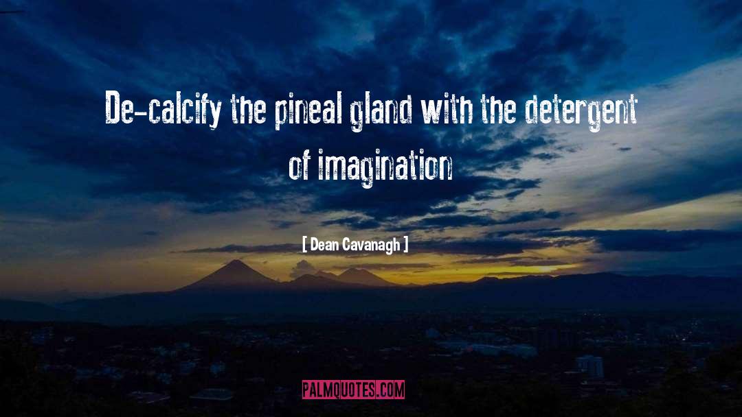 Imagination quotes by Dean Cavanagh
