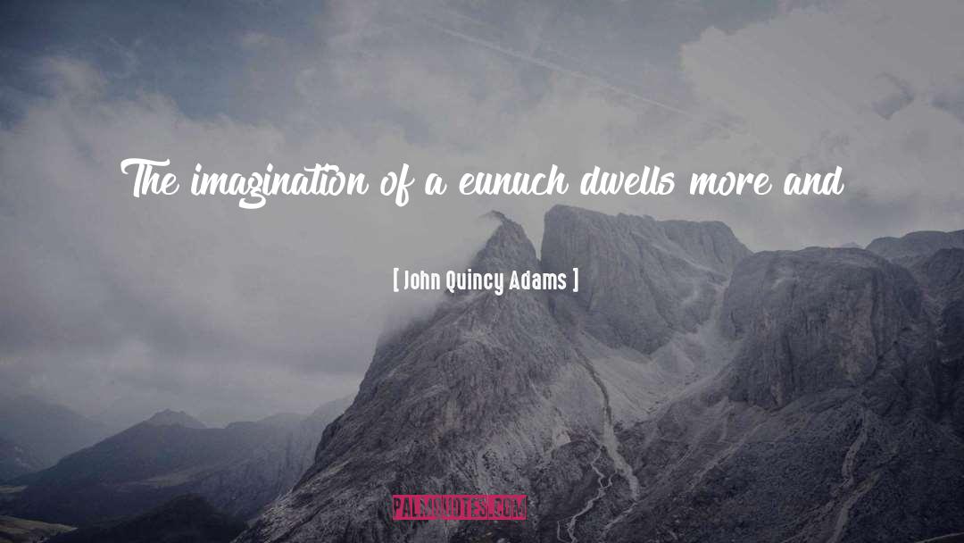 Imagination quotes by John Quincy Adams