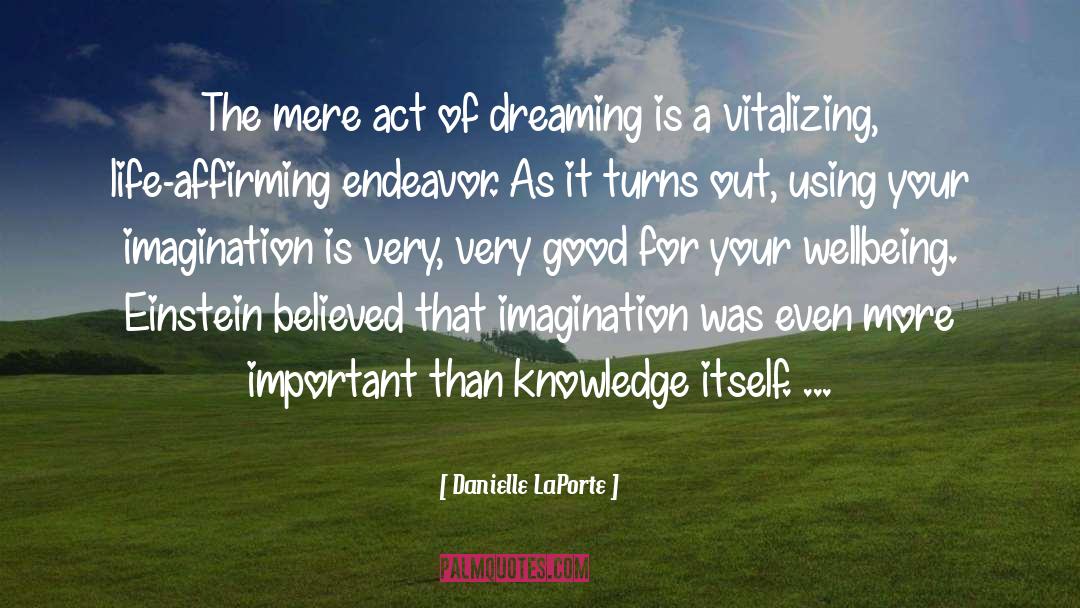 Imagination quotes by Danielle LaPorte