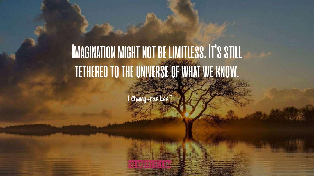 Imagination Reading quotes by Chang-rae Lee