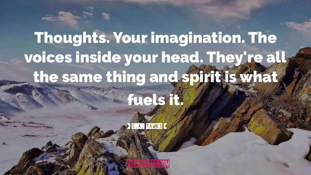 Imagination Reading quotes by S.A. Tawks