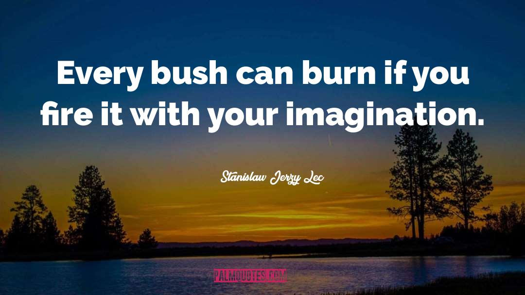 Imagination Writing quotes by Stanislaw Jerzy Lec