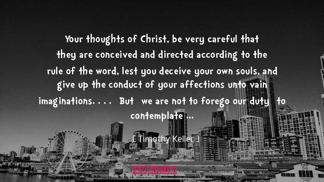 Imaginations And Perceptionsm quotes by Timothy Keller