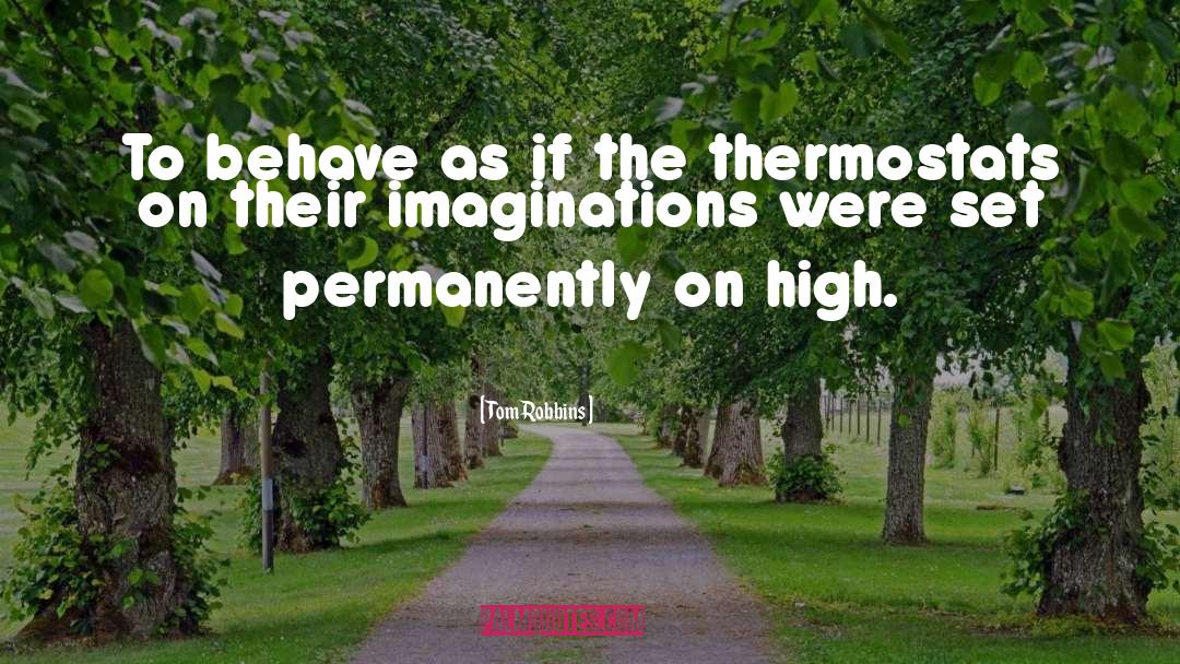 Imaginations quotes by Tom Robbins