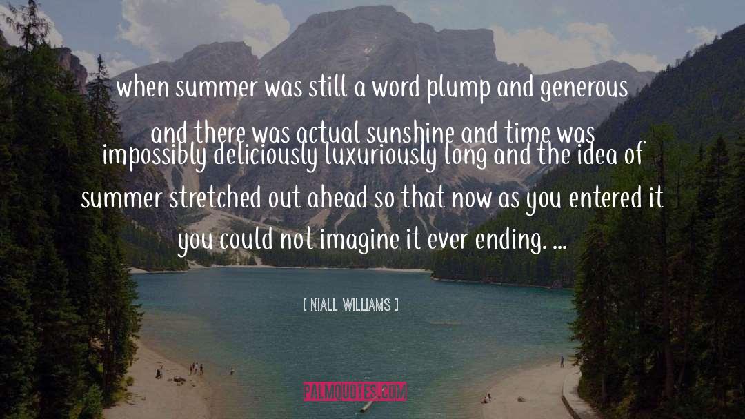 Imagine quotes by Niall Williams